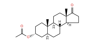 Androsterone acetate